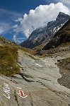 Salita al Rifugio Curò e in Val Malgina il 7 ottobre 08  - FOTOGALLERY
